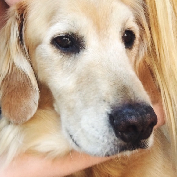 Meet your Posher, BL - Picture 1 of 1